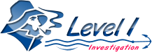 level1